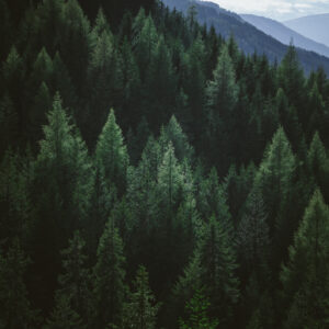 Breathing Room workshop Spokane