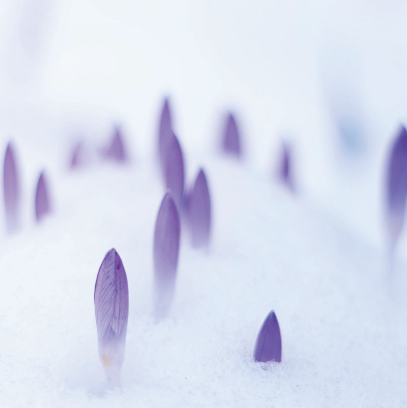 immersion & emerging